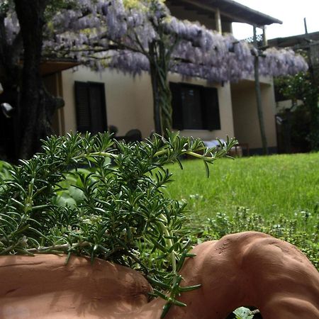 Villa Caprile Massa Lubrense Szoba fotó