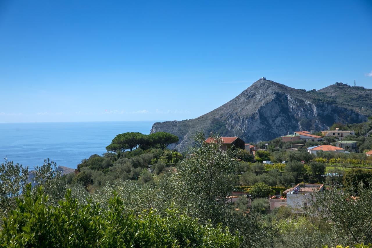 Villa Caprile Massa Lubrense Kültér fotó